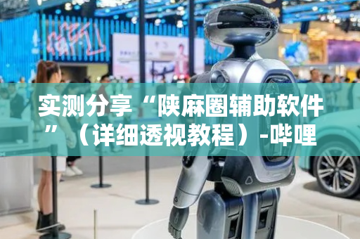 实测分享“陕麻圈辅助软件”（详细透视教程）-哔哩哔哩