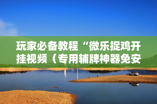 玩家必备教程“微乐捉鸡开挂视频（专用辅牌神器免安装）
