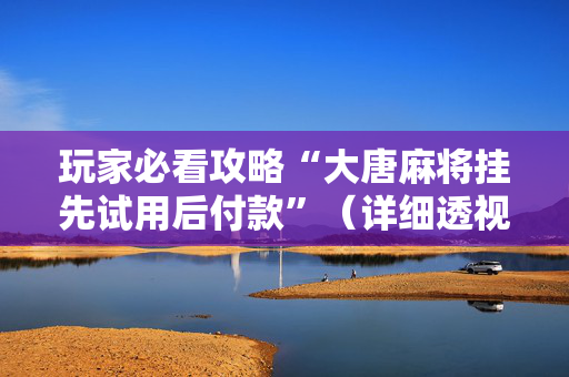 玩家必看攻略“大唐麻将挂先试用后付款”（详细透视教程）-哔哩哔哩