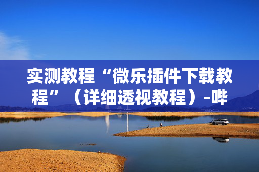 实测教程“微乐插件下载教程”（详细透视教程）-哔哩哔哩