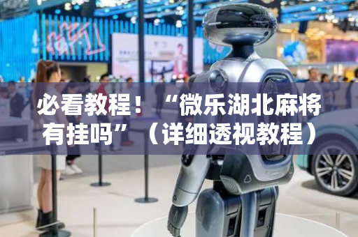 必看教程！“微乐湖北麻将有挂吗”（详细透视教程）-哔哩哔哩