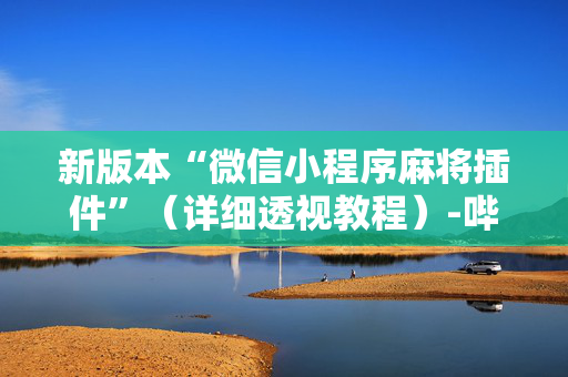 新版本“微信小程序麻将插件”（详细透视教程）-哔哩哔哩