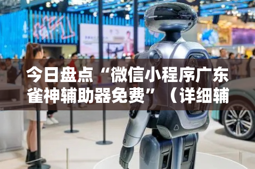 今日盘点“微信小程序广东雀神辅助器免费”（详细辅助教程）-哔哩哔哩