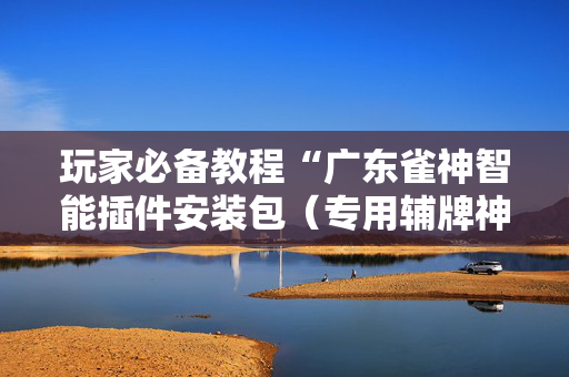 玩家必备教程“广东雀神智能插件安装包（专用辅牌神器免安装）