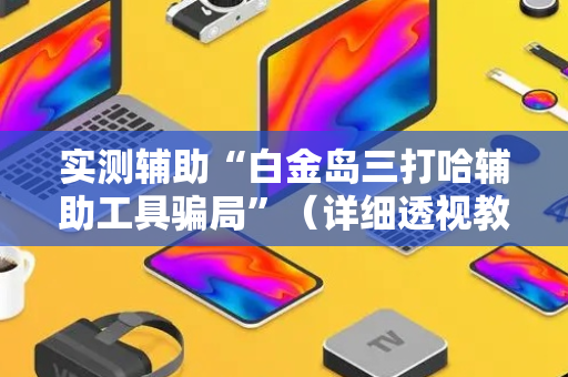实测辅助“白金岛三打哈辅助工具骗局”（详细透视教程）-哔哩哔哩
