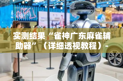 实测结果“雀神广东麻雀辅助器”（详细透视教程）-哔哩哔哩