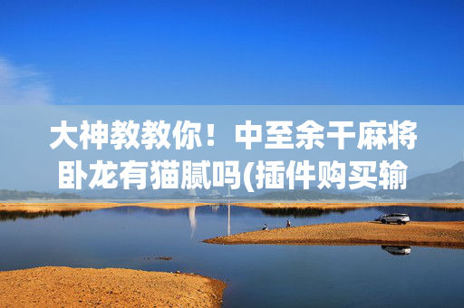 大神教教你！中至余干麻将卧龙有猫腻吗(插件购买输赢规律)