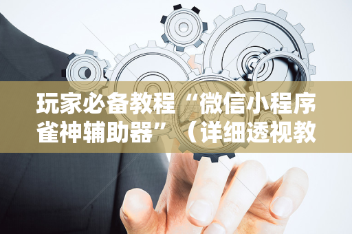 玩家必备教程“微信小程序雀神辅助器”（详细透视教程）-哔哩哔哩