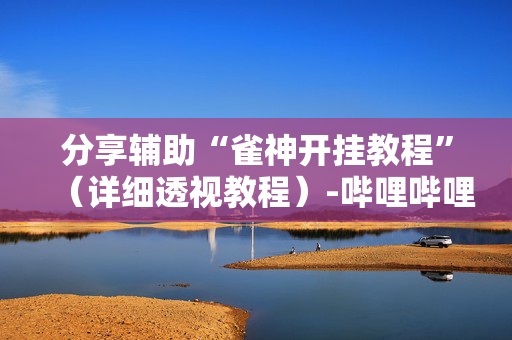 分享辅助“雀神开挂教程”（详细透视教程）-哔哩哔哩