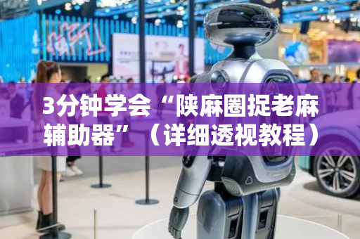 3分钟学会“陕麻圈捉老麻辅助器”（详细透视教程）-哔哩哔哩