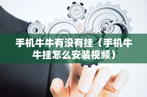 手机牛牛有没有挂（手机牛牛挂怎么安装视频）