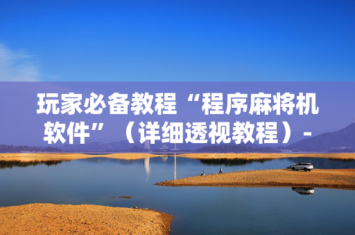 玩家必备教程“程序麻将机软件”（详细透视教程）-哔哩哔哩