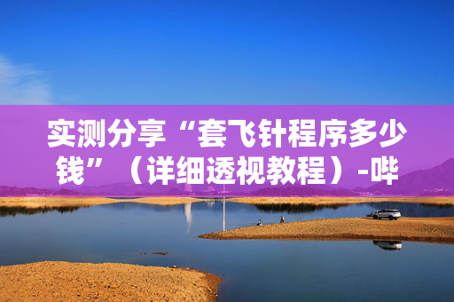 实测分享“套飞针程序多少钱”（详细透视教程）-哔哩哔哩