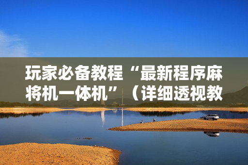 玩家必备教程“最新程序麻将机一体机”（详细透视教程）-哔哩哔哩