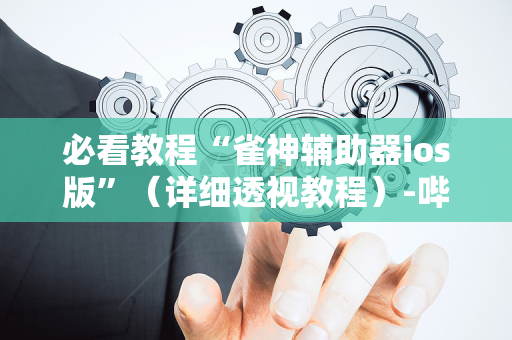 必看教程“雀神辅助器ios版”（详细透视教程）-哔哩哔哩