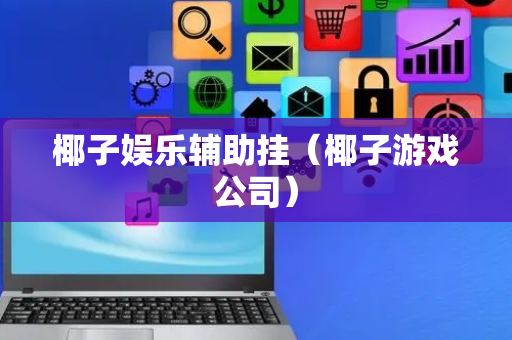 椰子娱乐辅助挂（椰子游戏公司）