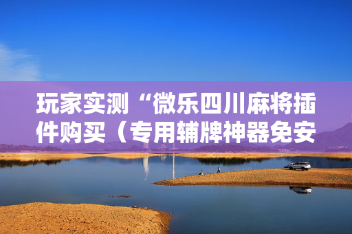 玩家实测“微乐四川麻将插件购买（专用辅牌神器免安装）