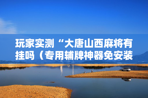 玩家实测“大唐山西麻将有挂吗（专用辅牌神器免安装）