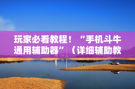 玩家必看教程！“手机斗牛通用辅助器”（详细辅助教程）-哔哩哔哩