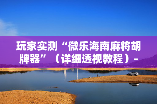玩家实测“微乐海南麻将胡牌器”（详细透视教程）-哔哩哔哩
