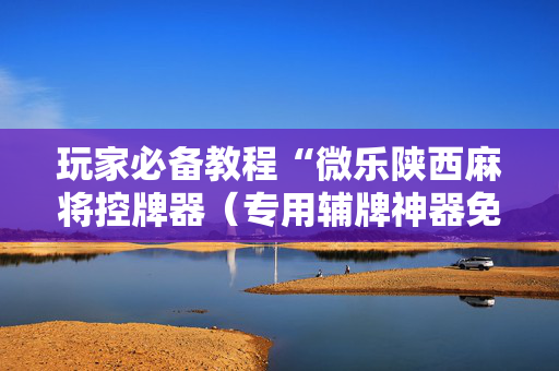 玩家必备教程“微乐陕西麻将控牌器（专用辅牌神器免安装）