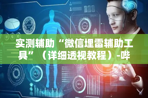 实测辅助“微信埋雷辅助工具”（详细透视教程）-哔哩哔哩