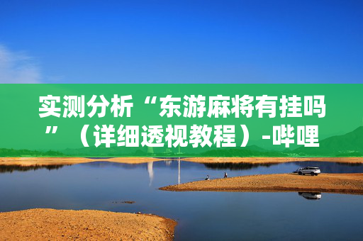 实测分析“东游麻将有挂吗”（详细透视教程）-哔哩哔哩