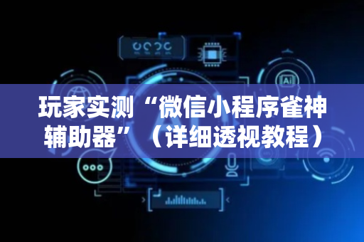 玩家实测“微信小程序雀神辅助器”（详细透视教程）-哔哩哔哩