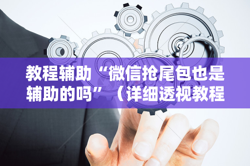教程辅助“微信抢尾包也是辅助的吗”（详细透视教程）-哔哩哔哩