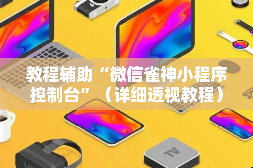 教程辅助“微信雀神小程序控制台”（详细透视教程）-哔哩哔哩