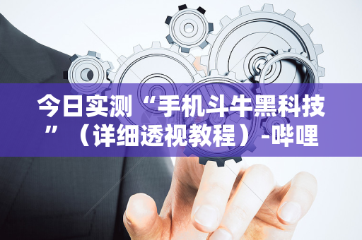 今日实测“手机斗牛黑科技”（详细透视教程）-哔哩哔哩