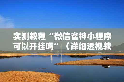 实测教程“微信雀神小程序可以开挂吗”（详细透视教程）-哔哩哔哩