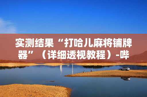 实测结果“打哈儿麻将铺牌器”（详细透视教程）-哔哩哔哩