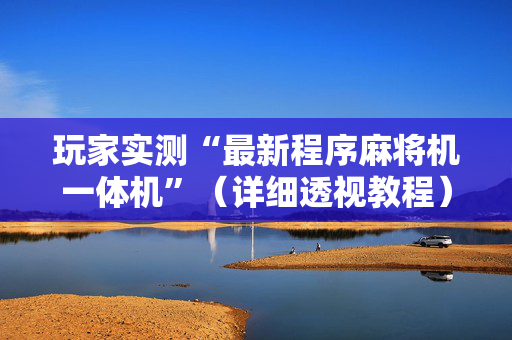 玩家实测“最新程序麻将机一体机”（详细透视教程）-哔哩哔哩