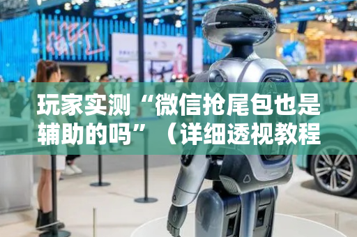 玩家实测“微信抢尾包也是辅助的吗”（详细透视教程）-哔哩哔哩