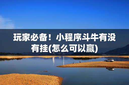 玩家必备！小程序斗牛有没有挂(怎么可以赢)