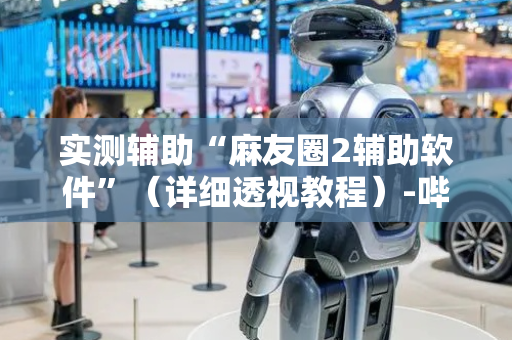 实测辅助“麻友圈2辅助软件”（详细透视教程）-哔哩哔哩