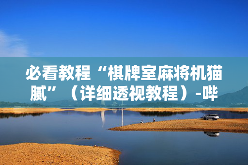 必看教程“棋牌室麻将机猫腻”（详细透视教程）-哔哩哔哩