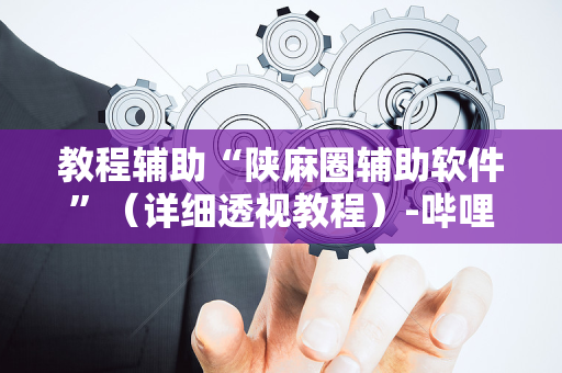 教程辅助“陕麻圈辅助软件”（详细透视教程）-哔哩哔哩