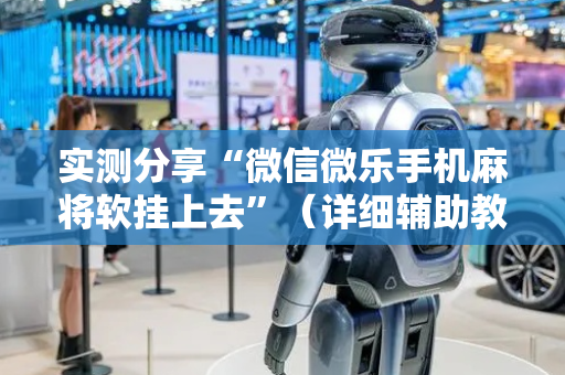实测分享“微信微乐手机麻将软挂上去”（详细辅助教程）-哔哩哔哩