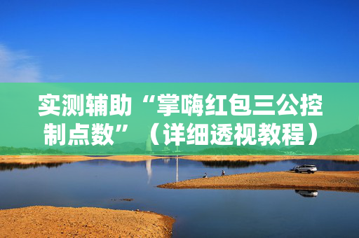 实测辅助“掌嗨红包三公控制点数”（详细透视教程）-哔哩哔哩