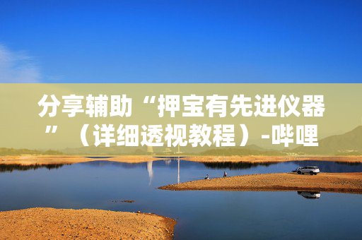 分享辅助“押宝有先进仪器”（详细透视教程）-哔哩哔哩