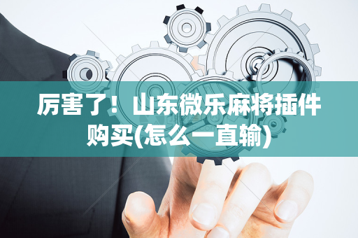 厉害了！山东微乐麻将插件购买(怎么一直输)
