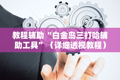 教程辅助“白金岛三打哈辅助工具”（详细透视教程）-哔哩哔哩
