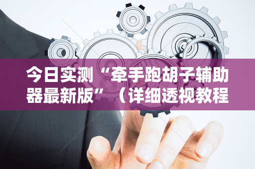 今日实测“牵手跑胡子辅助器最新版”（详细透视教程）-哔哩哔哩