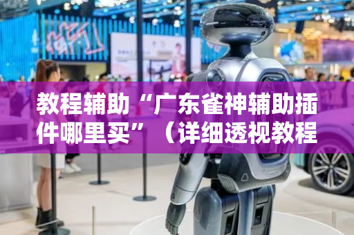 教程辅助“广东雀神辅助插件哪里买”（详细透视教程）-哔哩哔哩