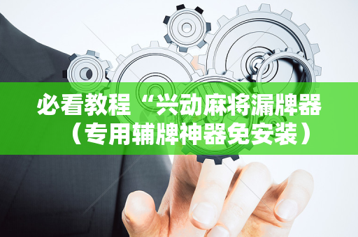 必看教程“兴动麻将漏牌器（专用辅牌神器免安装）