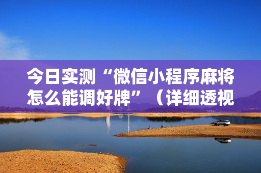 今日实测“微信小程序麻将怎么能调好牌”（详细透视教程）-哔哩哔哩