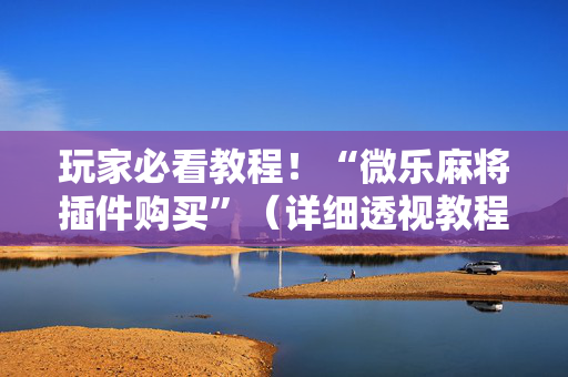玩家必看教程！“微乐麻将插件购买”（详细透视教程）-哔哩哔哩