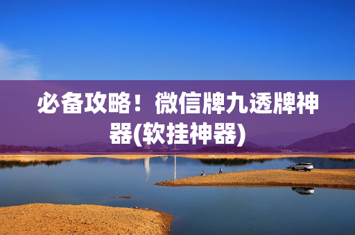 必备攻略！微信牌九透牌神器(软挂神器)